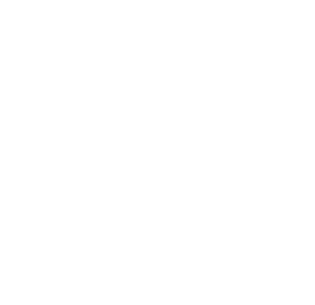 BT Logo