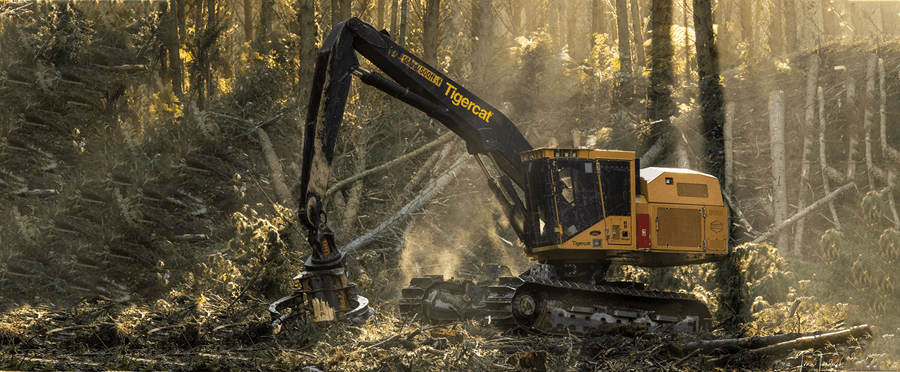 Tigercat Hero Image Banner 1500Pxwide2 Min