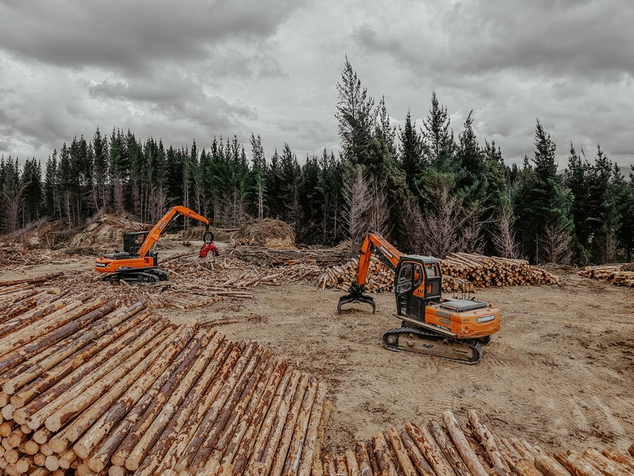 DJI 20251125134950 0031 D